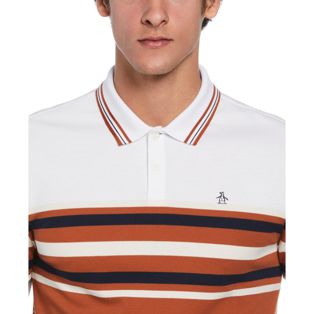 Cotton Interlock Yarn Dyed Striped Polo Shirt In Ginger Bread