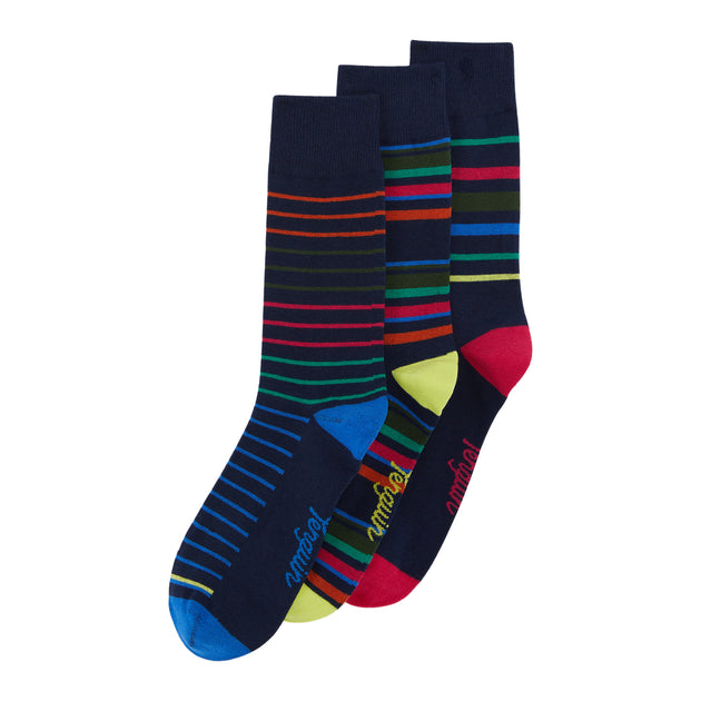 3 Pack Mens Penguin Design Ankle Socks StripeSpot in Black and Blue In ...