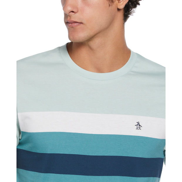 Cotton Jersey Yarn Dyed Chest Stripe T-Shirt In Teal