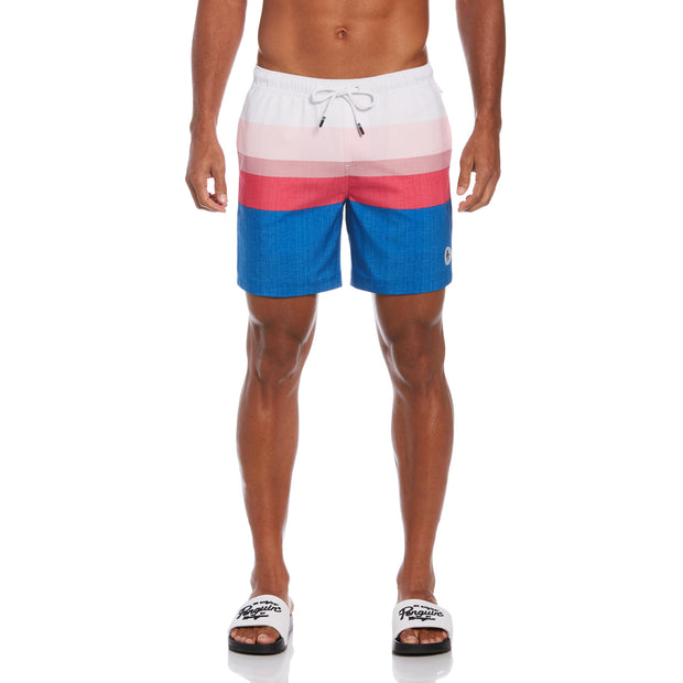 Colour Block Swim Shorts In Lapis Blue